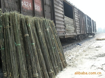 供應安竹與江西葦 文安縣永興竹品銷售處的專業林業產品服務