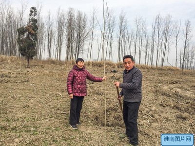 壽縣雙廟集鎮周崗現灣村民組崔世松林業開發合作社成立，推動林業產品銷售