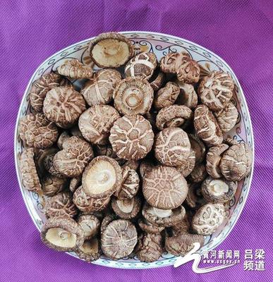 交口縣 '三寶'跨上'高速路'，走出深閨天下識