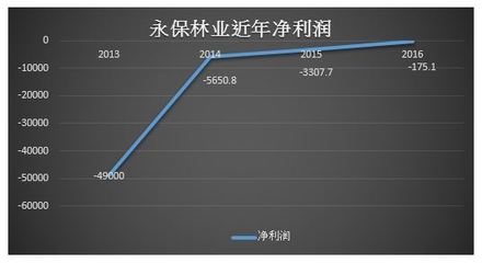 永保林業 困境中的股價暴漲之謎