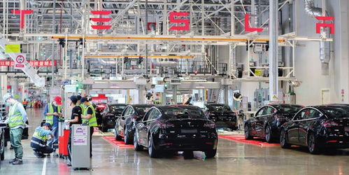 上海特斯拉超級工廠再創歷史紀錄 6月國內銷售激增138%，林業產品銷售亮點紛呈