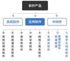2017年中國軟件和信息技術(shù)服務(wù)行業(yè)監(jiān)管及主要政策法規(guī)分析